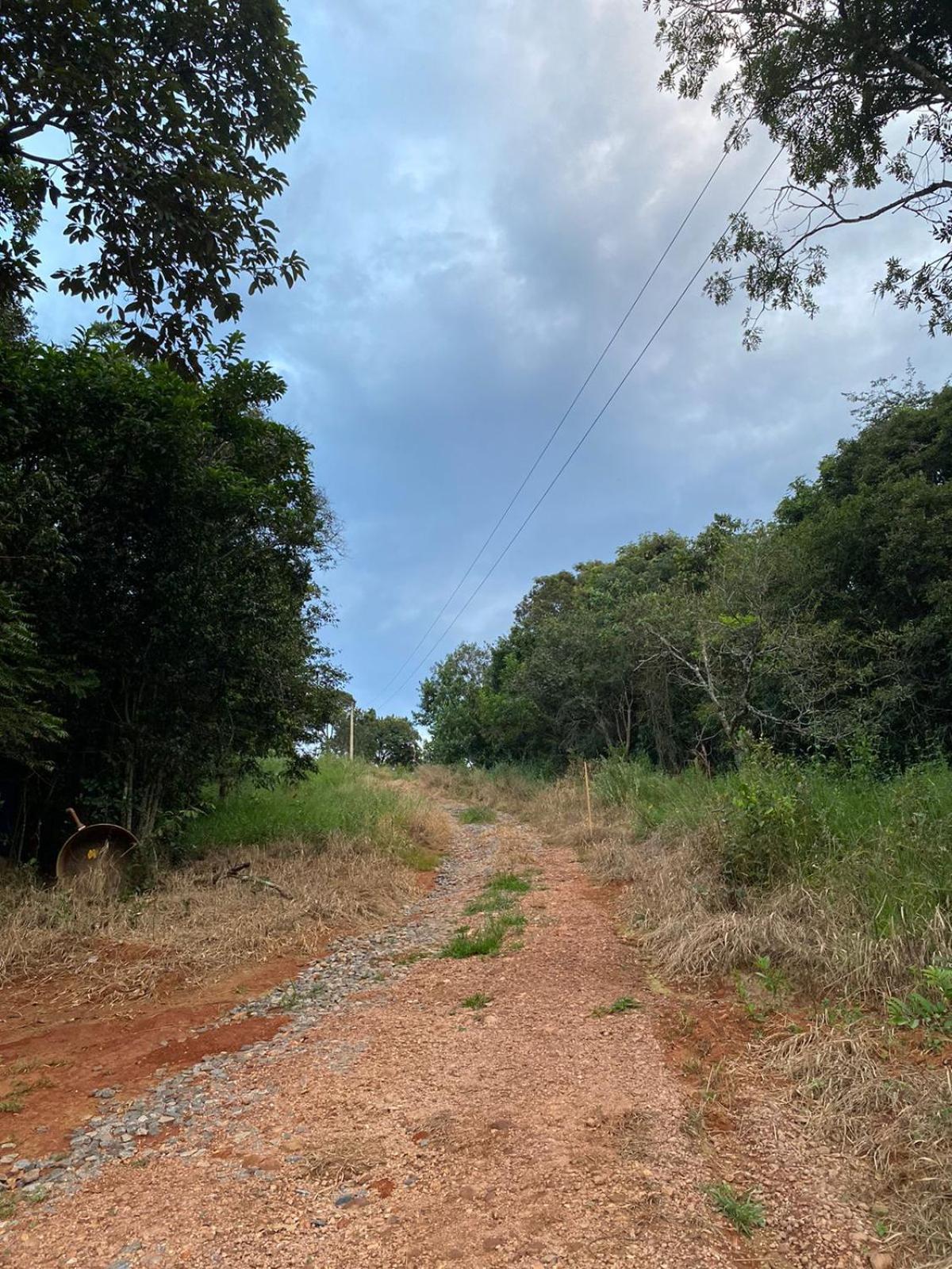 Cabana Canastra Villa São Roque de Minas Exterior foto